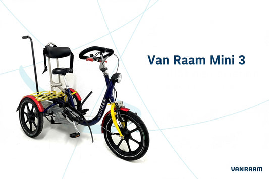 Vanraam mini 3