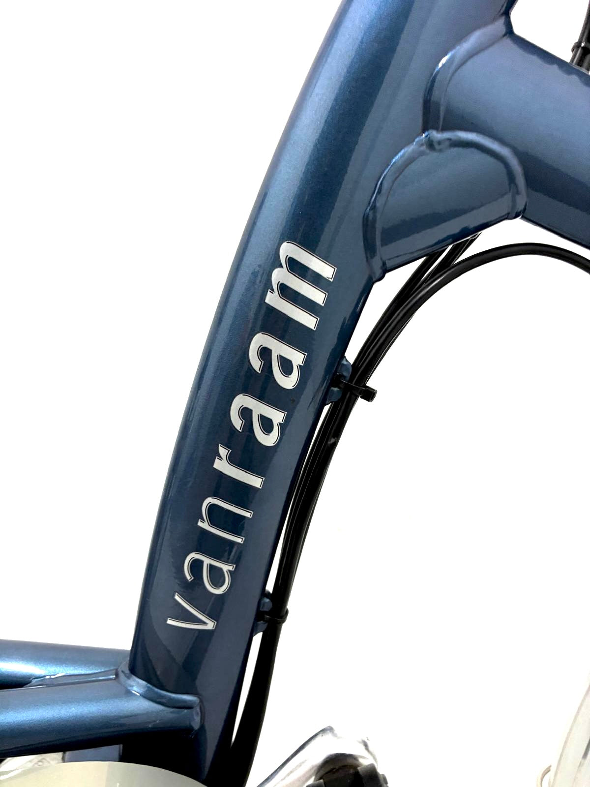 Vanraam Easy Rider 2 E-Bike 2 Akkus