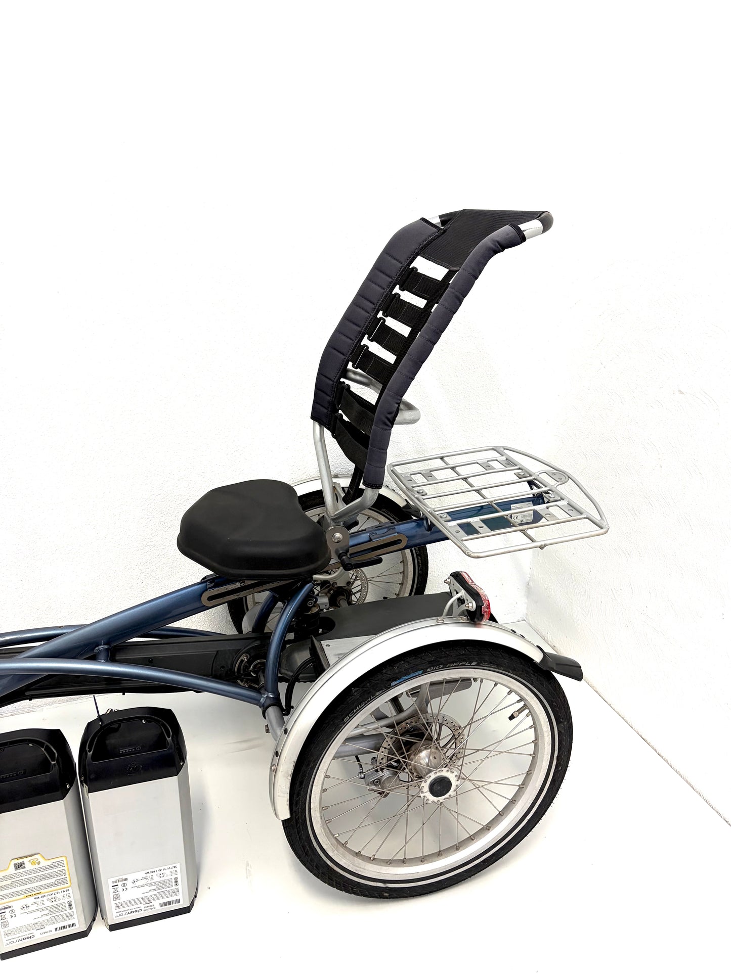 E-Bike Vanraam Easy-Rider mit 2 Akkus